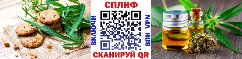 Купить закладки  Подольск  Cannafood марихуана 