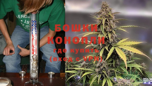 Альфа ПВП Пестово