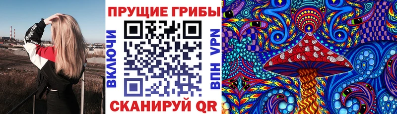 Купить закладки  Подольск  Псилоцибиновые грибы Psilocybe 